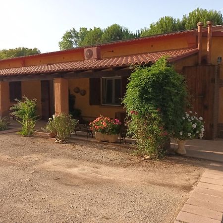 Agriturismo La Barca In Secca オルメード エクステリア 写真
