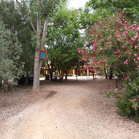 Agriturismo La Barca In Secca オルメード エクステリア 写真