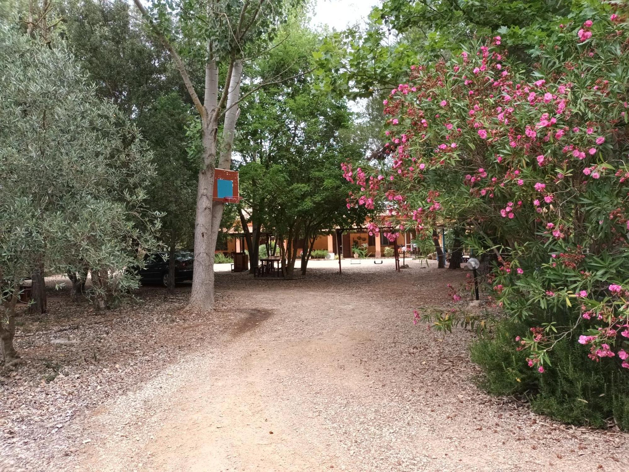 Agriturismo La Barca In Secca オルメード エクステリア 写真