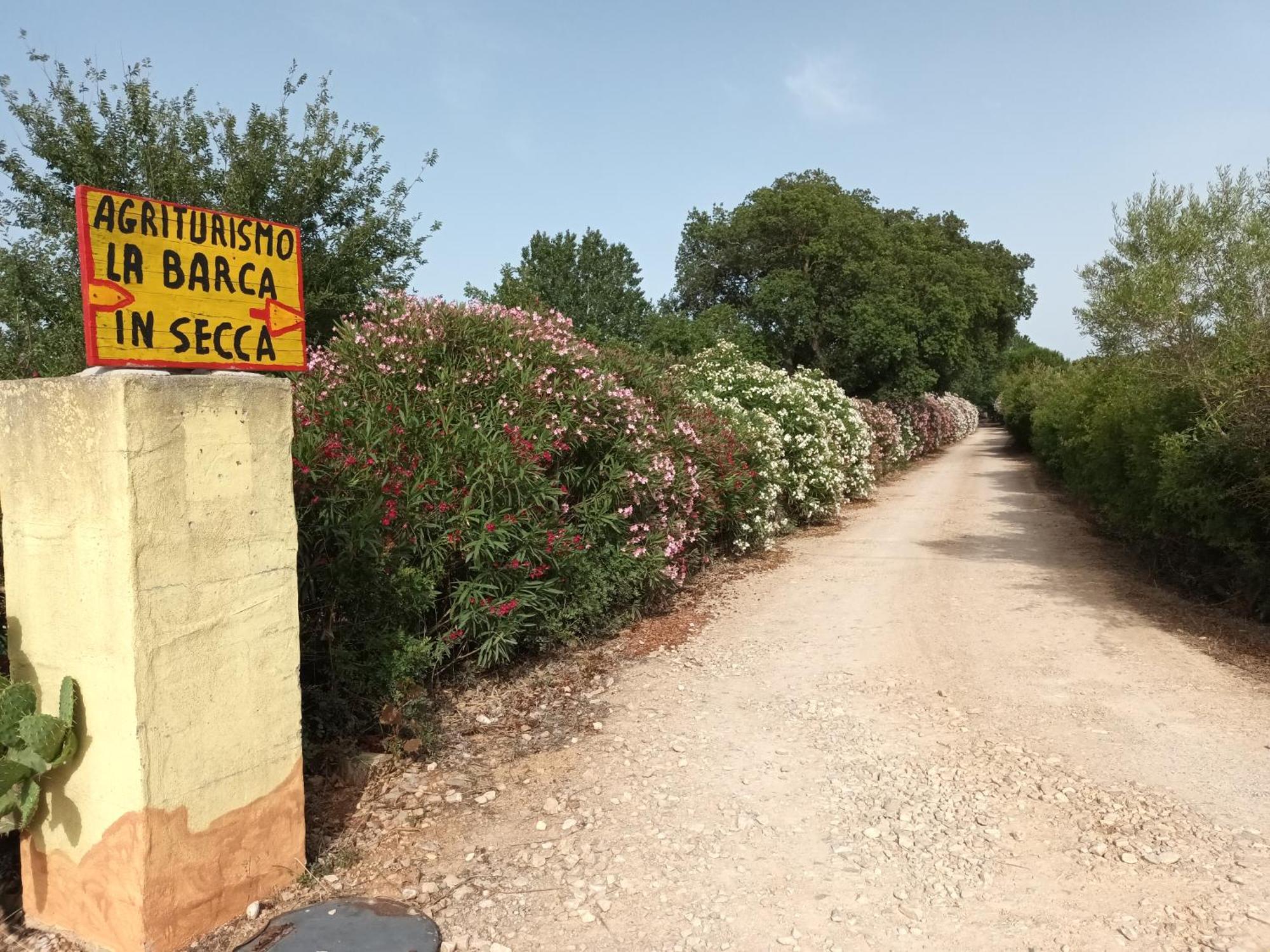 Agriturismo La Barca In Secca オルメード エクステリア 写真